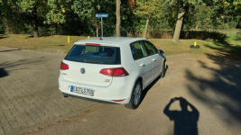 Przepiękny Golf 7 Puławy - zdjęcie 6