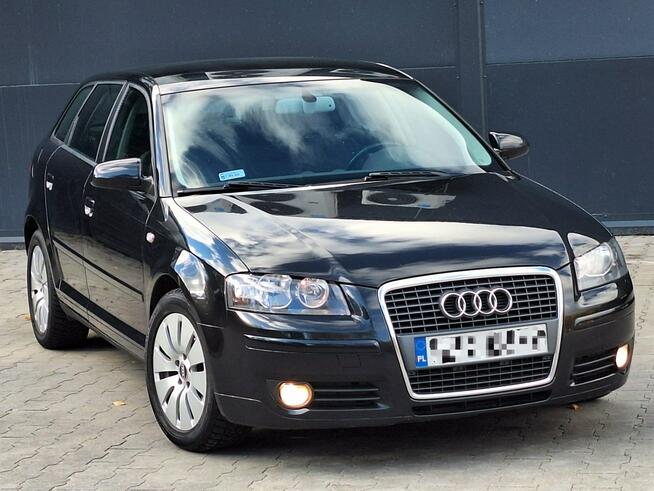 Audi A3 * 1.9TDi* czarny* 5DRZWI* bdb stan* KLIMA* alufelgi * Olsztyn - zdjęcie 1