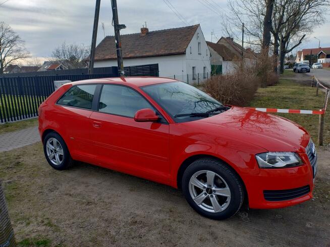 Ładne Audi A3 Psie Pole - zdjęcie 2