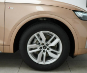 Audi Q5 40TDI Quattro Sline Stronic MatrixLED Kamera Ambient Kielce - zdjęcie 12