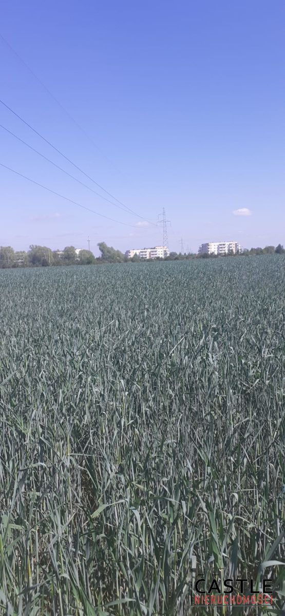 Tylko teraz TAKA CENA. Zalasewo - zdjęcie 2