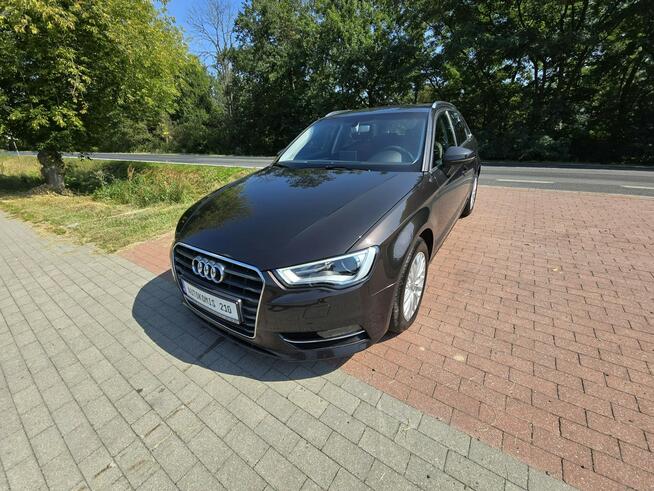 Audi A3 1,6 tdi Sportback 110KM z bardzo niskim przebiegiem 127 tyskm! Cielcza - zdjęcie 3