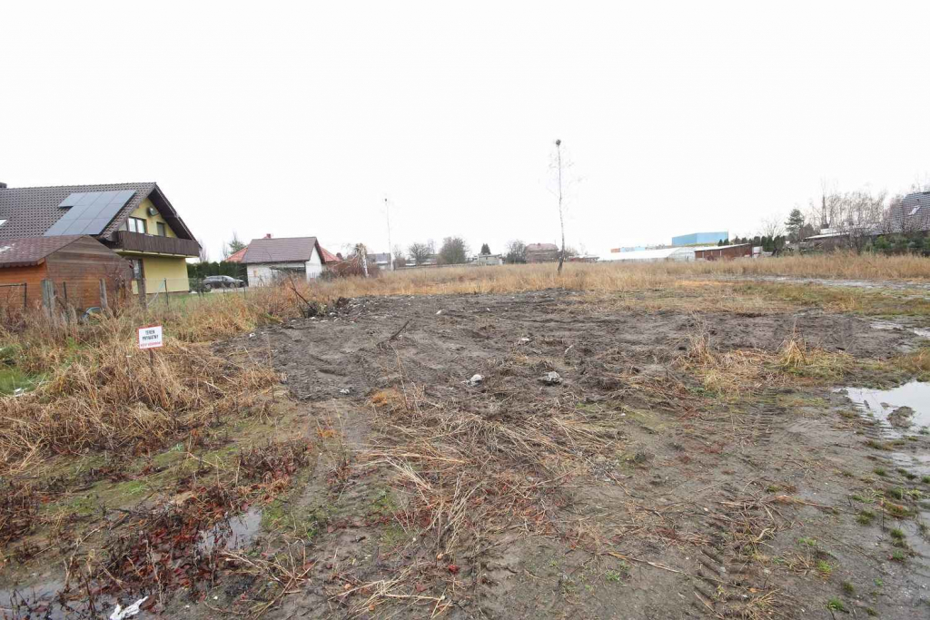 Działka Budowlana (6600 m2) okolice Różanej (Syców) Syców - zdjęcie 7