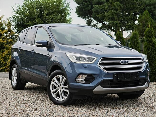 Ford Kuga Sadlno - zdjęcie 1