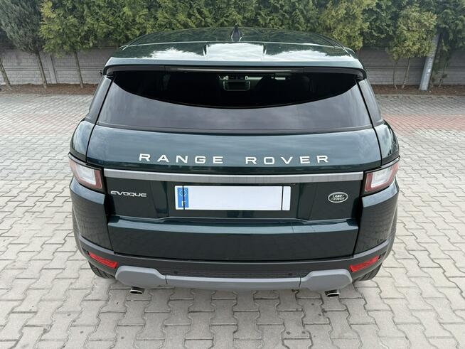 Land Rover Range Rover Evoque Zielona Łąka - zdjęcie 2