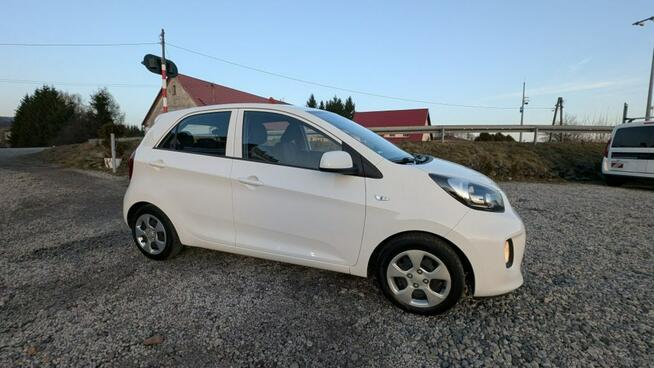 Kia Picanto Zadbane miejskie autko Kamienna Góra - zdjęcie 5