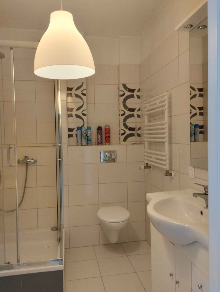 Wynajmę kawalerkę/30m2 Aleksandrów Łódzki - zdjęcie 5