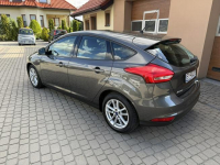 Ford Focus 1,5 150KM  Rej.01/2016  Klimatronik Orzech - zdjęcie 10