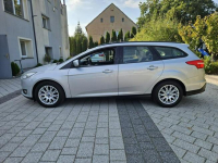 FORD FOCUS 1.6 115 KM EKONOMICZNY Strzegom - zdjęcie 8