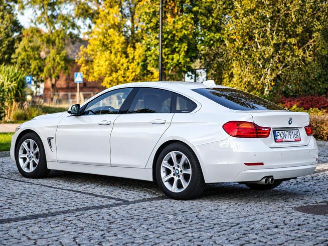 BMW 420 Sadlno - zdjęcie 8