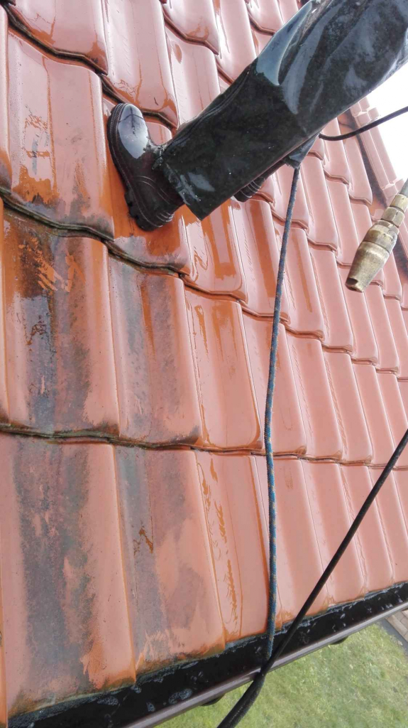 Malowanie dachów  Mycie dachu Janów Lubelski - zdjęcie 4