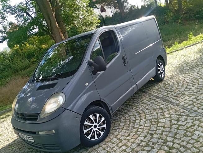 SPRAWNY/BUS/OPEL/VIVARO/1.9/CDTI/HAK/ZAREJESTR/ Gostynin - zdjęcie 3