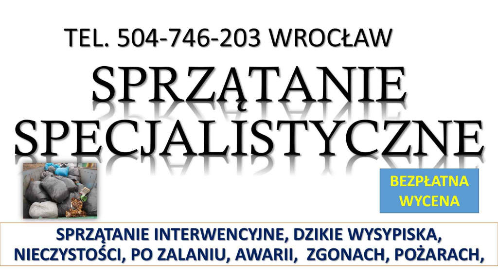 Sprzątanie interwencyjne, t. 504746203, Wrocław, z podrzuconych śmieci Psie Pole - zdjęcie 2