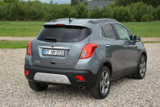 Innovation  Duża Navi Ledy BI-Xenon Skóry 2xParkt Alu 18 Aso Opel Ostrów Mazowiecka - zdjęcie 5