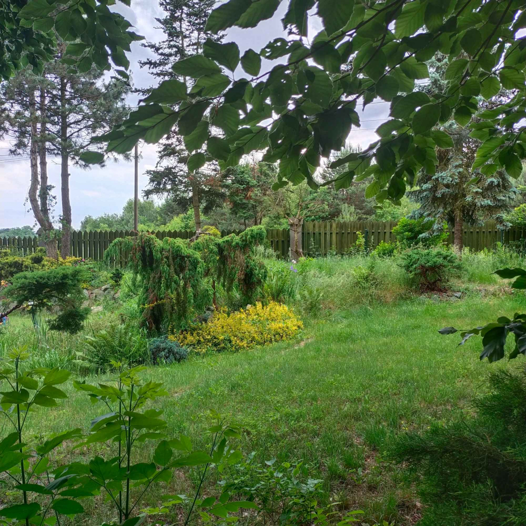 Działka budowlana  Katowice Zarzecze Katowice - zdjęcie 9