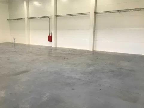 Lokal na wynajem Słupno Słupno - zdjęcie 2