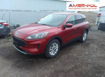 Ford Kuga 2020, 1.5L, 4x4, po gradobiciu