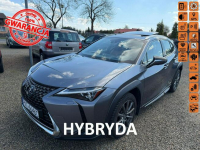 Lexus UX Hybryda, automat, gwarancja, 80tys.km!