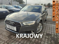 Audi A3 Salon Polska