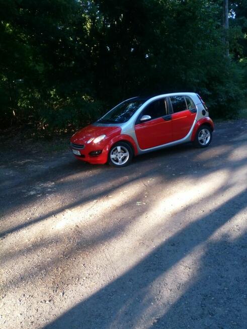 Auto miejskie Gubin - zdjęcie 9