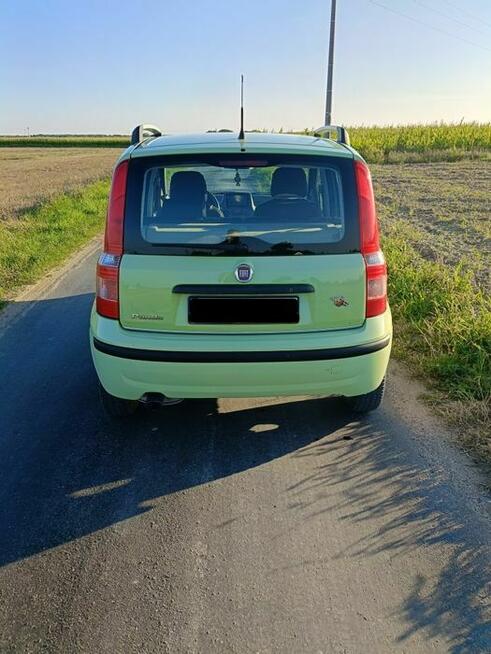 FIAT PANDA 1.2 + Felgi z zimówkami Radziejów - zdjęcie 4