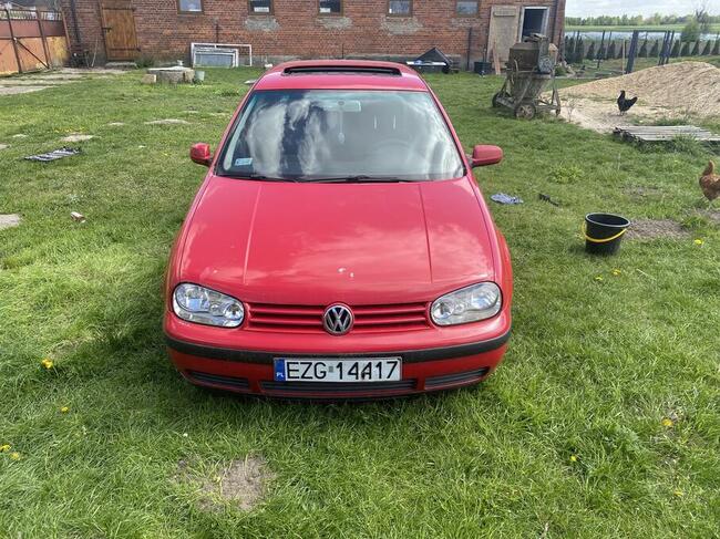 Vw golf Biała - zdjęcie 7