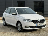 Škoda Fabia 1.0MPI 60km, LPG, Ambition, Iwł, Salon PL. Serwis, FV23%
