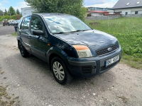 Ford Fusion 1.4TDCI 68KM 08r