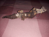 Ludzik z brodą w pozycji siedzącej Bielany - zdjęcie 2