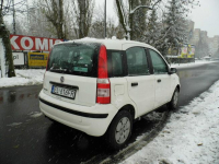 Fiat Panda Łódź - zdjęcie 4