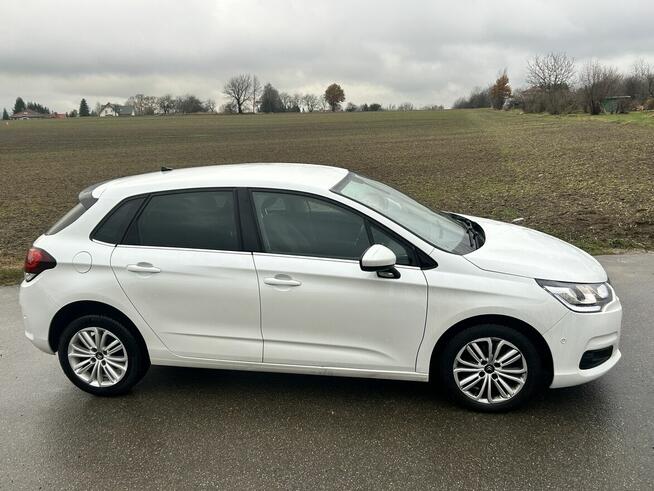 CITROEN C4 1.6D 2016 Krosno - zdjęcie 6