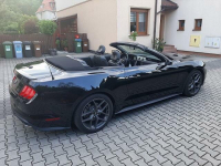 Mustang Kabriolet kolor czarny metalik Wrocław - zdjęcie 6