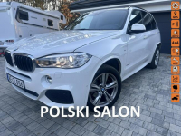 BMW X5 Salon Polsk fv23% serwis Aso Otwock - zdjęcie 1