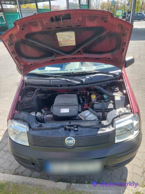 FIAT Panda Panda 1.1 Actual Eco Rzeszów - zdjęcie 4
