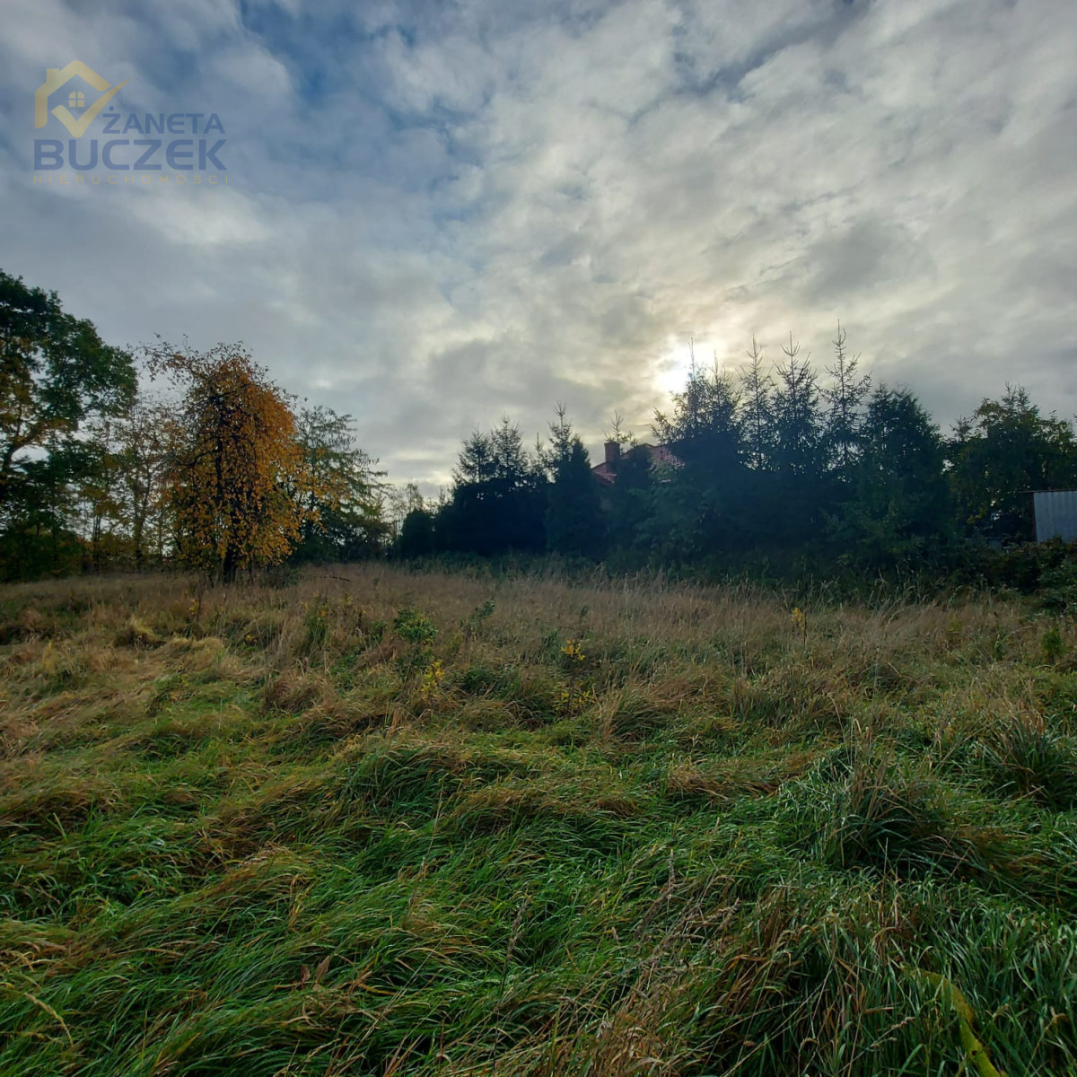 Działka budowlana Nieborów powiat łowicki Nieborów - zdjęcie 5