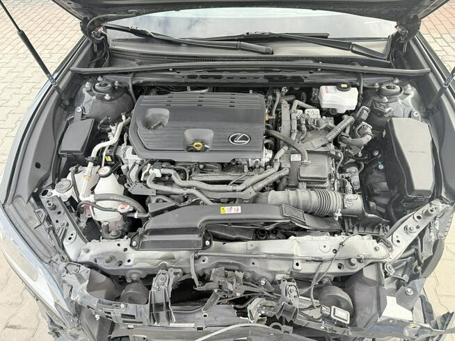 Lexus ES300 Zielona Łąka - zdjęcie 10