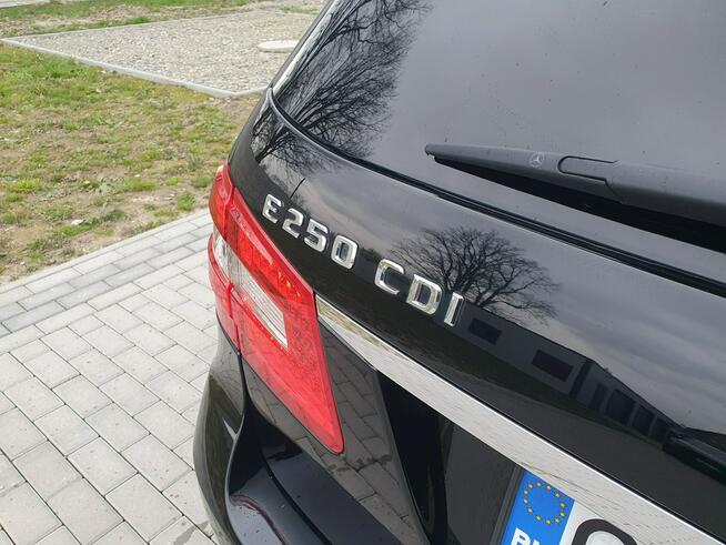 Mercedes E 250 2.2cdi 204KM Avantgarde 4matic 7osobowy Raty Zamiana Strobice - zdjęcie 11