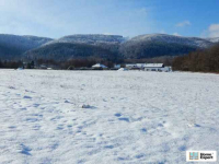 Działka (6000 m2) Polanica-Zdrój Polanica-Zdrój - zdjęcie 7