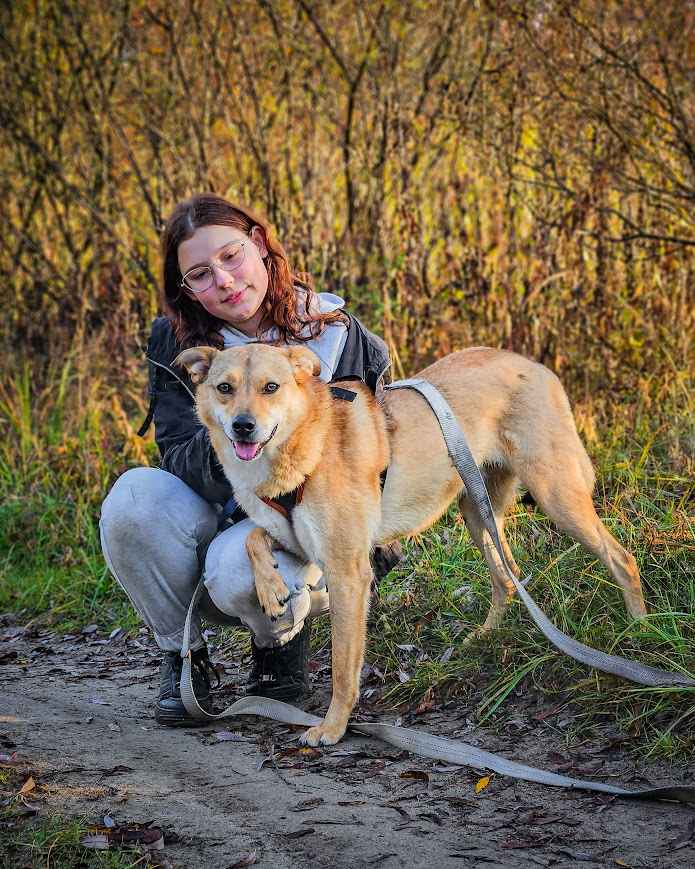 CYNAMON - oddany z adopcji jak niepotrzebna zabawka, POMOCY! Widzew - zdjęcie 7