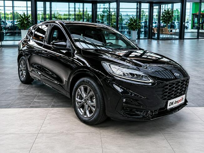 Ford Kuga Sadlno - zdjęcie 1