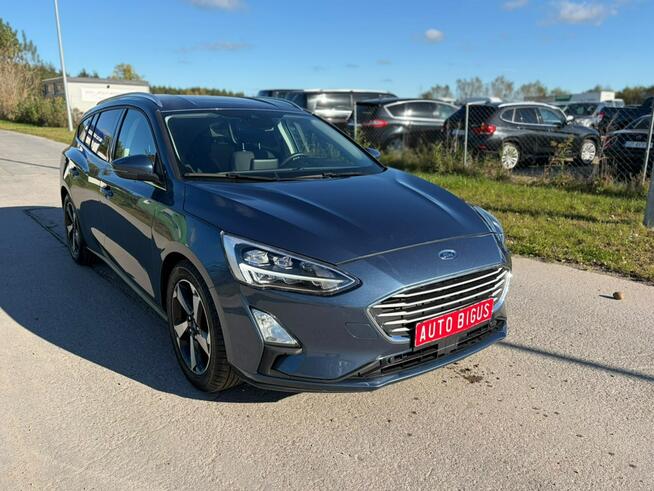 Ford Focus Jak Nowy navi mały przebieg Lębork - zdjęcie 3