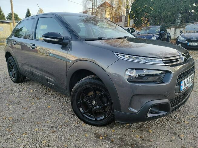 Citroen C4 Cactus Bogate wyposażenie Bydgoszcz - zdjęcie 5