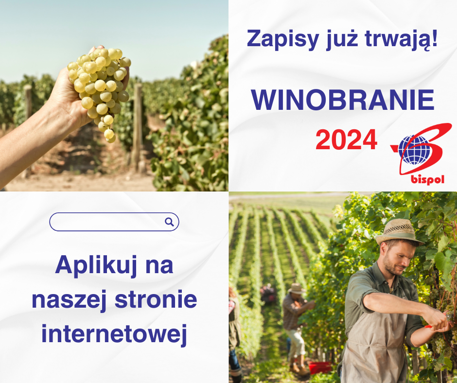 Winobranie 2024 Podgórze - zdjęcie 1