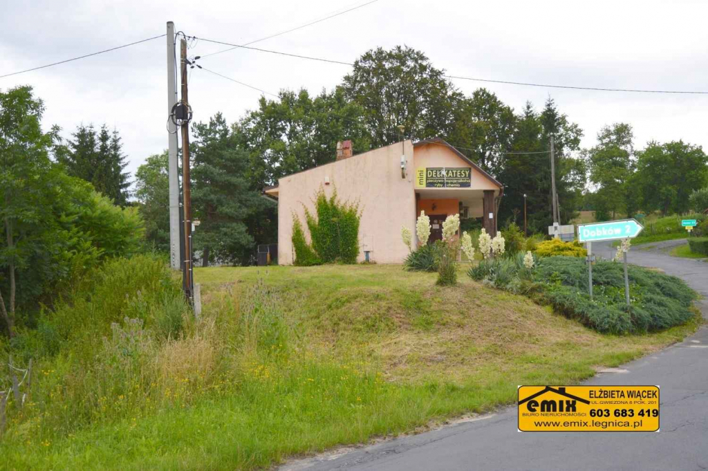 Lokal z możliwością przekształcenia na dom, działka 2800m2 Świerzawa - zdjęcie 2