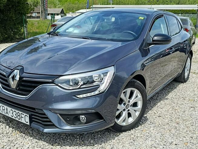 Renault Megane 1,3 Kamera, Nawigacja ,Serwis ,bdb stan Dulowa - zdjęcie 1