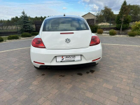 Volkswagen Beetle Lipówki - zdjęcie 10