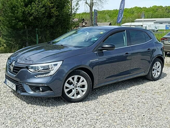 Renault Megane 1,3 Kamera, Nawigacja ,Serwis ,bdb stan Dulowa - zdjęcie 3