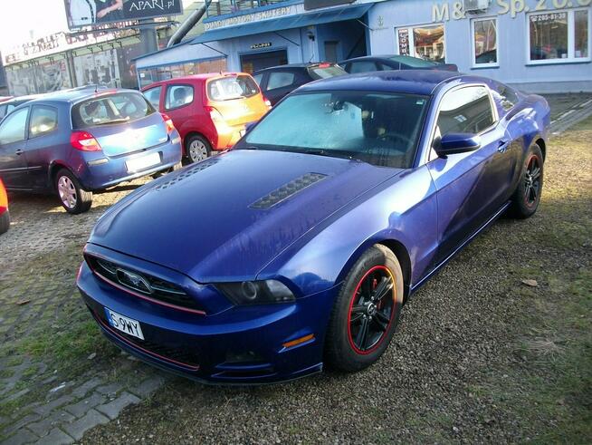 Ford Mustang 2013 r./227 kw/ 3731 cm3 Katowice - zdjęcie 1