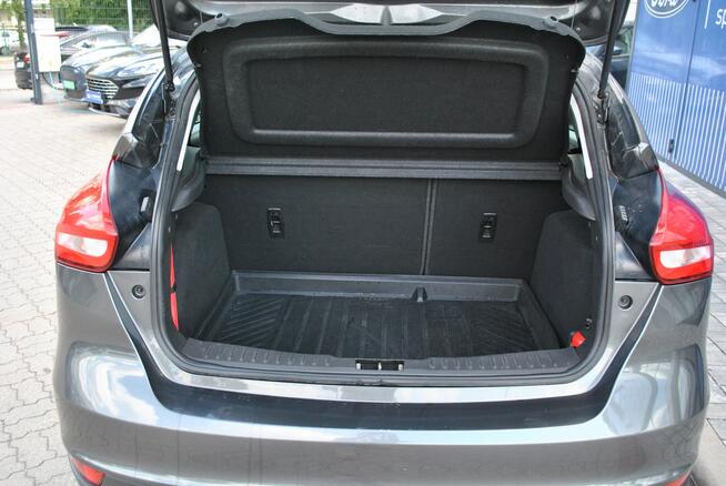 Hatchback GoldX 1,6 Benzyna 105KM ASO Forda Białystok - zdjęcie 10