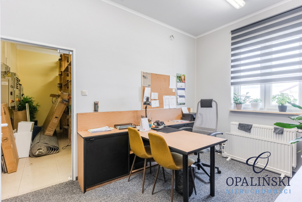 HALA PRODUKCYJNO-MAGAZYNOWO-BIUROWA Lubenia - zdjęcie 2